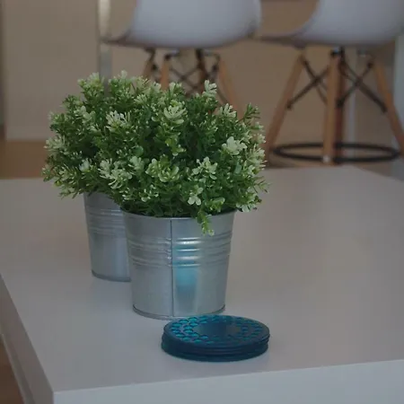 Aticocolon21 * Alicante